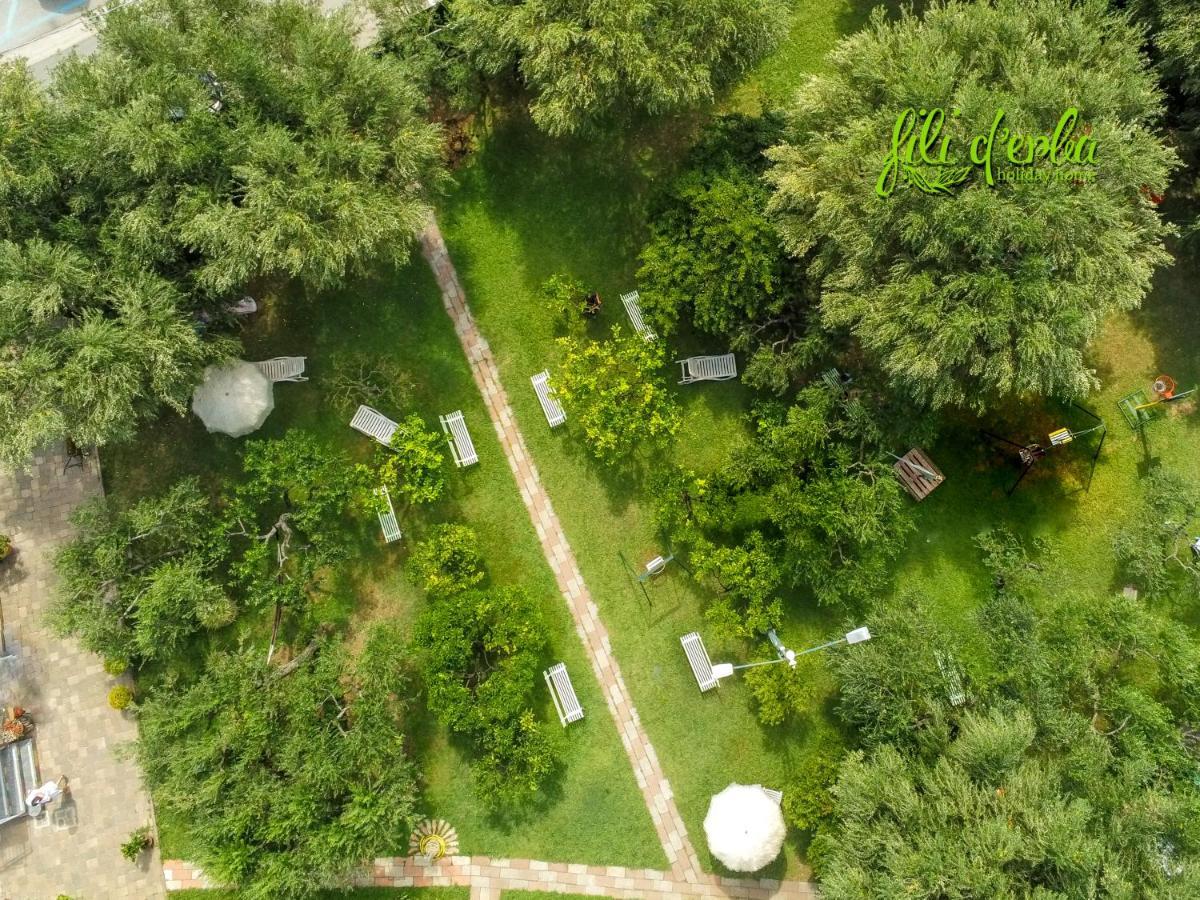 Fili D'Erba Cilento Villa Villammare Exteriör bild