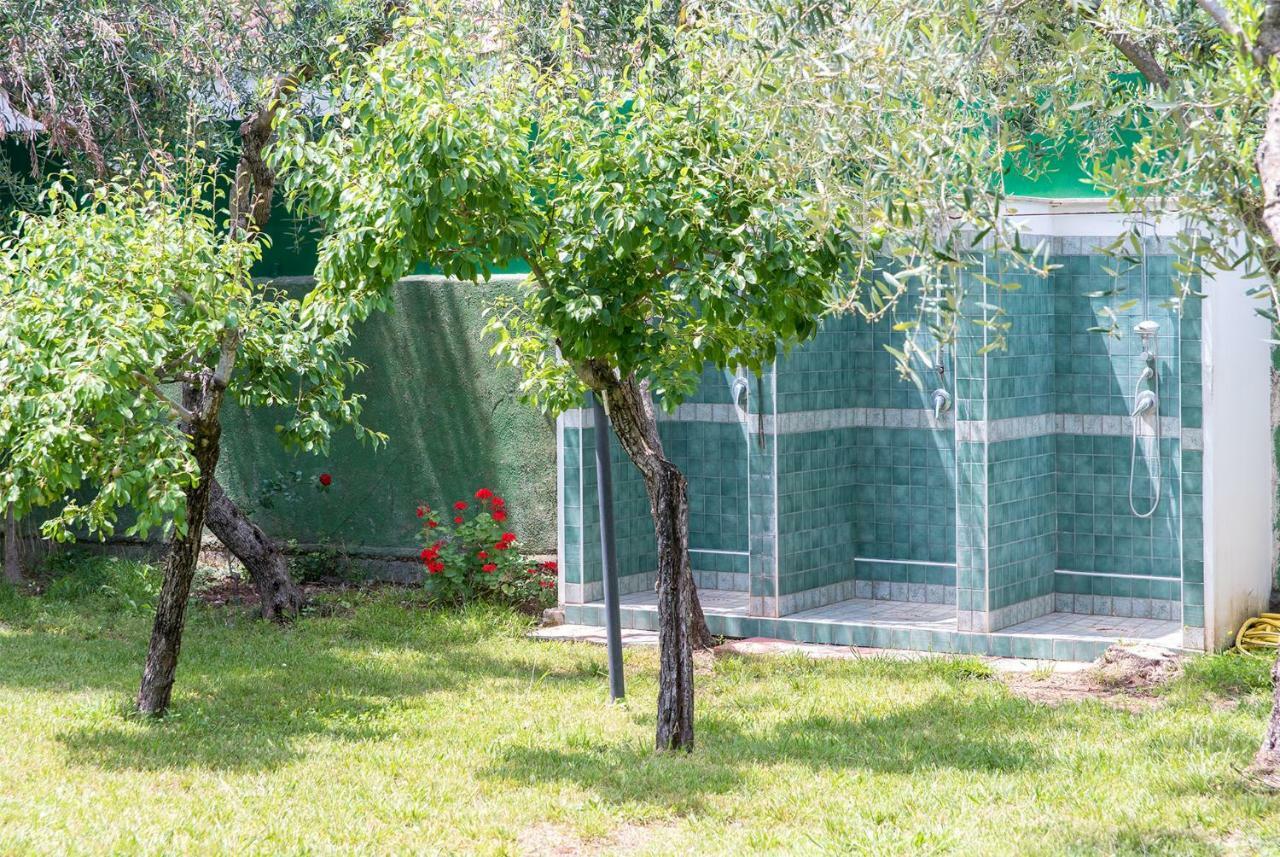 Fili D'Erba Cilento Villa Villammare Exteriör bild